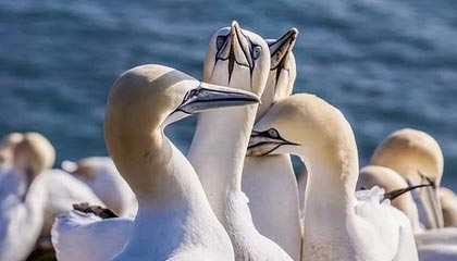 世界杯高清直播平台-欧文KD露出獠牙！6分钟二人得分上双 一节攻垮勇士